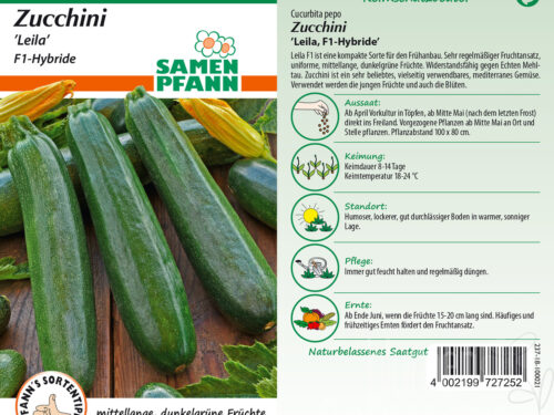 Zucchini Leila F1