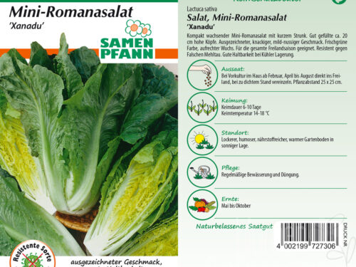 Mini-Romanasalat Xanadu