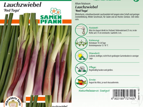 Zwiebeln Red Toga (Lauchzwiebel)