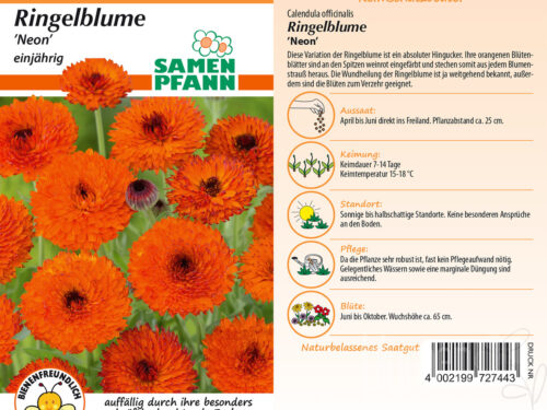 Ringelblume Neon