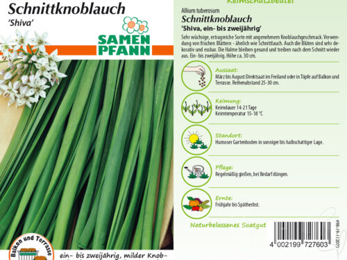 Schnittknoblauch