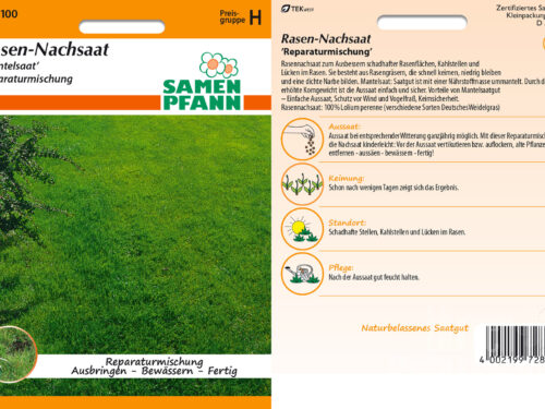 Rasennachsaat