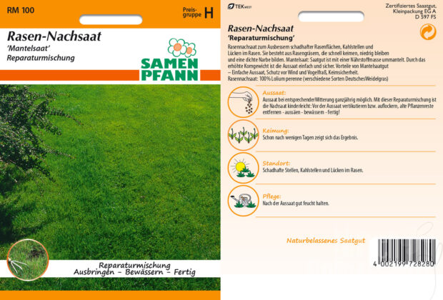 Rasennachsaat