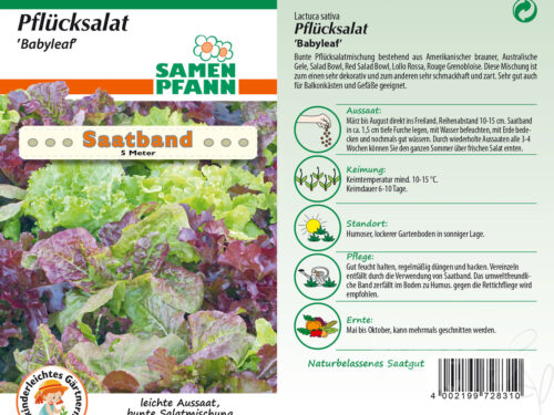 SAATBAND Pflücksalat Babyleaf