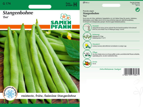 Stangenbohnenn Eva