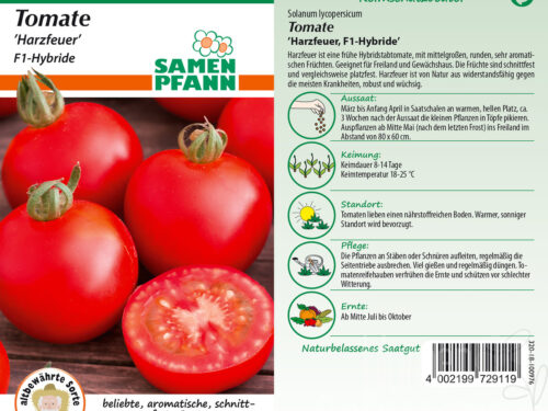 Tomaten Harzfeuer F1