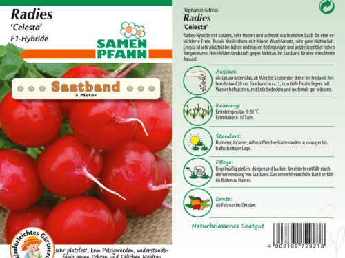 SAATBAND Radies Celesta F1