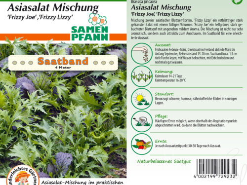 SAATBAND Asiasalate