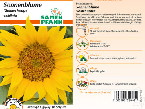 Sonnenblumen Golden Hedge