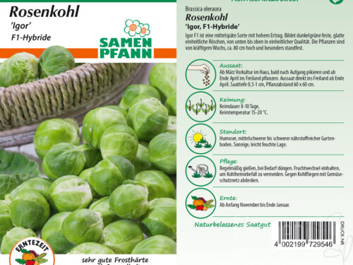 Rosenkohl Igor F1