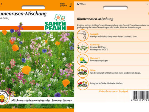 Blumenrasenmischung (ohne Gras)