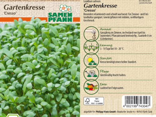 Gartenkresse Einfache, BIO