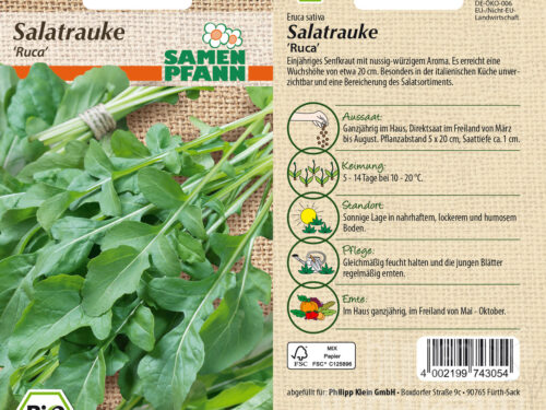 Salatrauke Rucola coltivata, BIO