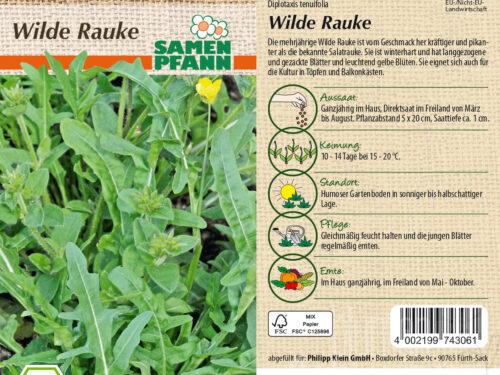 Wilde Rauke Rucola selvatica, BIO