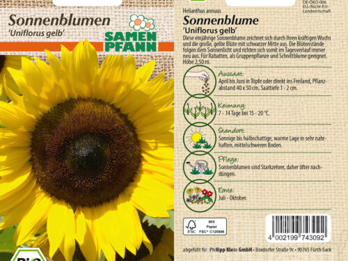 Sonnenblumen Uniflorus, BIO