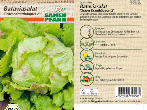 Bataviasalat Grazer Krauthäuptel 2, BIO