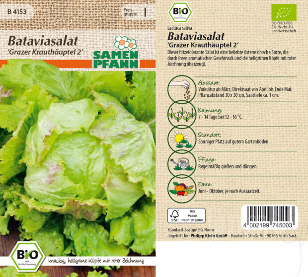 Bataviasalat Grazer Krauthäuptel 2, BIO