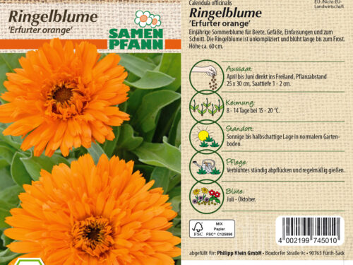 Ringelblume Erfurter Orange, BIO