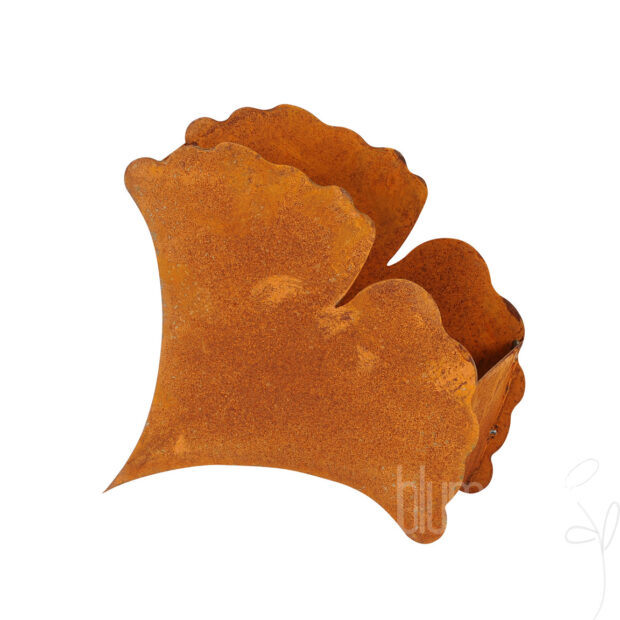 Gingkoblatt zum Bepflanzen