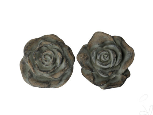 Rose 2 Var./Preis p. Stck