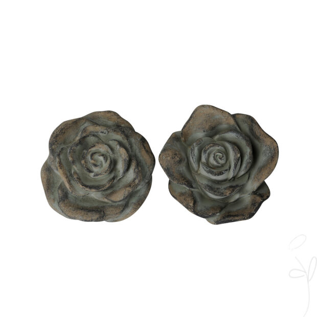 Rose 2 Var./Preis p. Stck