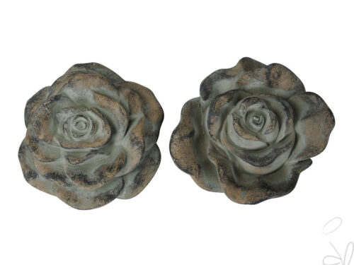 Rose 2 Var./Preis p. Stck