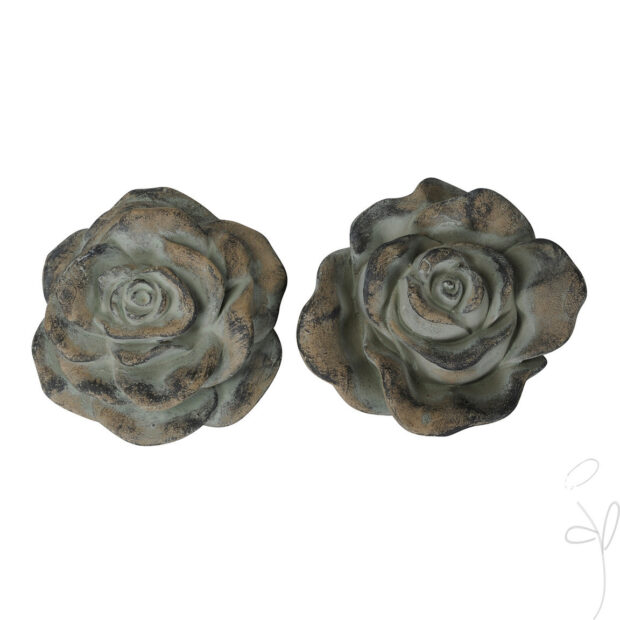 Rose 2 Var./Preis p. Stck