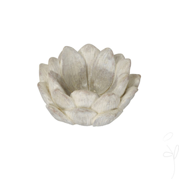 Blüte