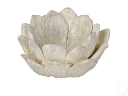 Blüte