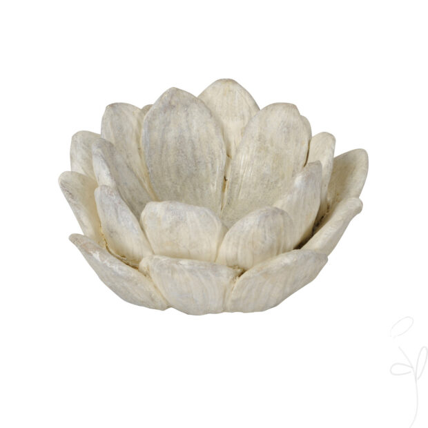 Blüte