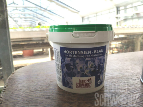 Blumen Schwarz Hortensienblau, 500g