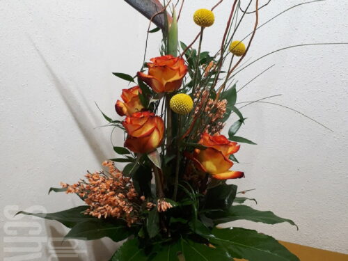 Blumenstrauß Strelitzie mit Rosen