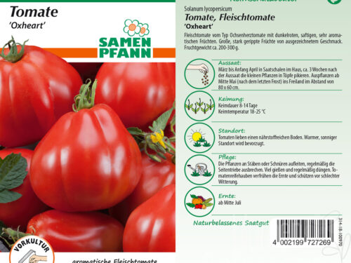 Tomaten Oxheart