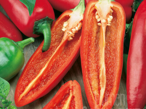 Capsicum Ariella Midi - Roter Schnackpaprika