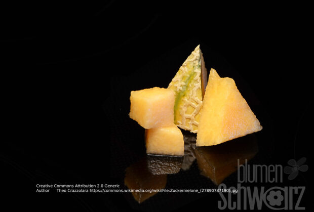Cucumis melo Anasta- Zuckermelone - veredelt