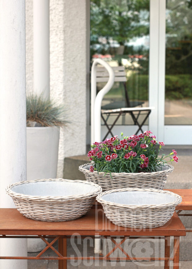 Zinkkorbschale 38x11cm