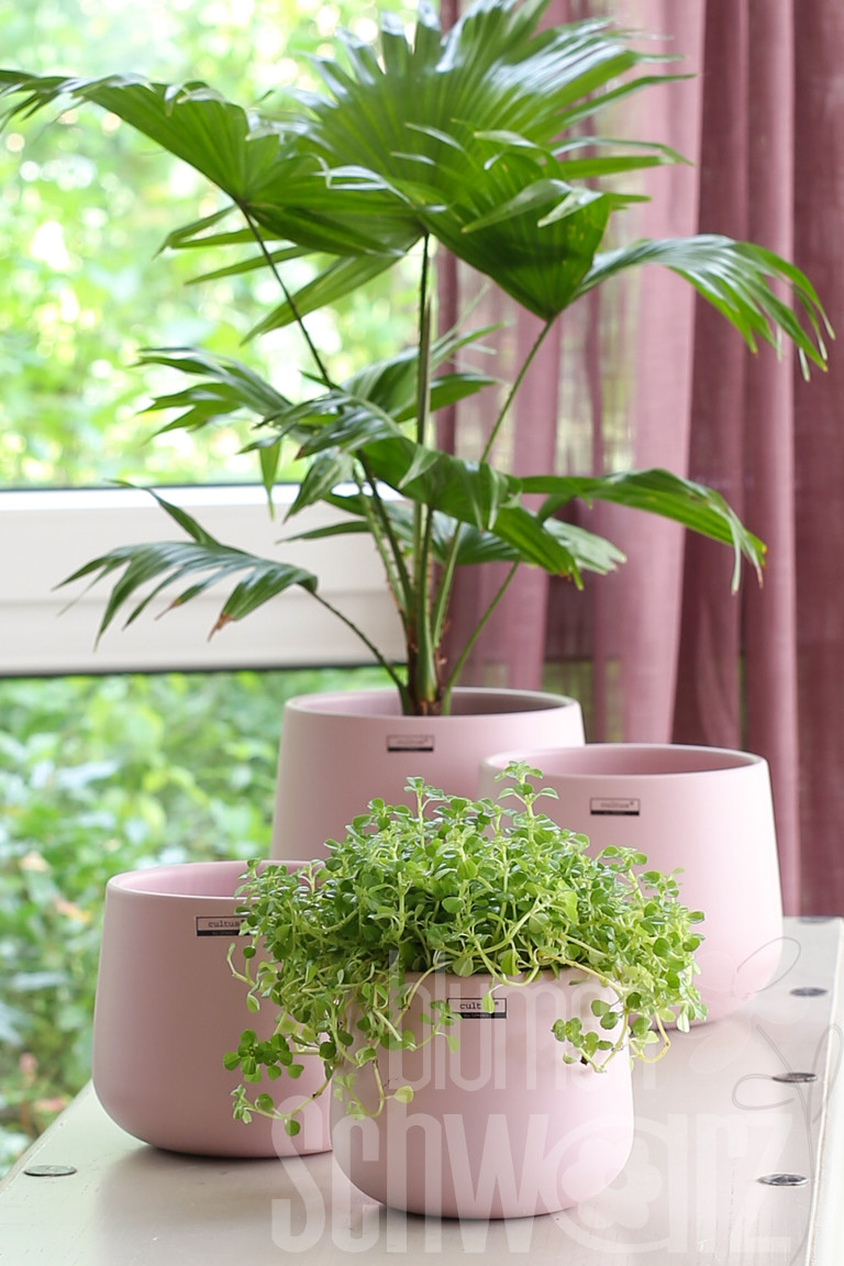Tusco Products Garten-Übertopf, 34,3 Cm, Schwarz - Leichter Kunststofftopf Mit Gerolltem Rand