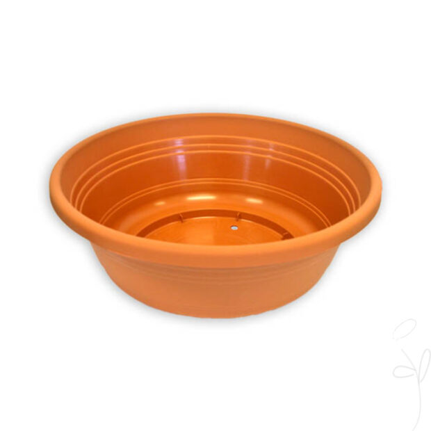 Pflanzschale Ø30xH10cm, terra