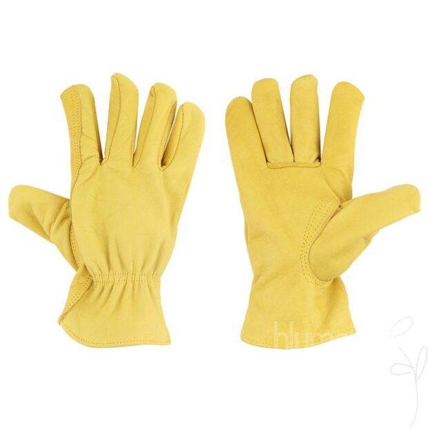 Kuhlederhandschuhe L
