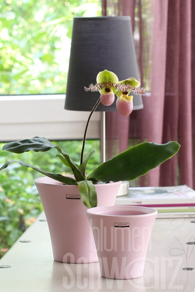 Orchideentopf 16x15cm