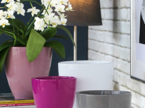 Orchideentopf sortiert 14x15.5cm