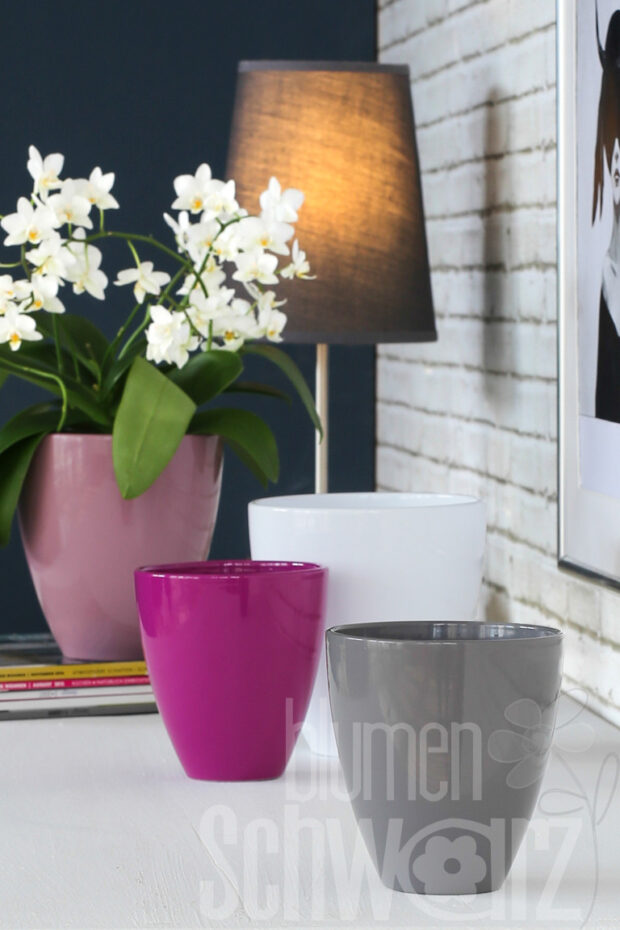 Orchideentopf sortiert 14x15.5cm