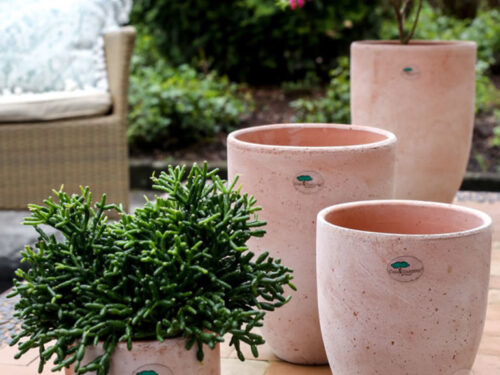 Vase TERRA-CATENA