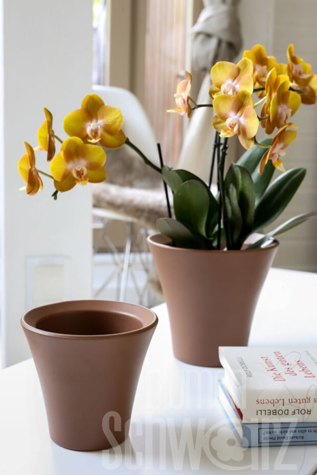 Orchideentopf 16x15cm