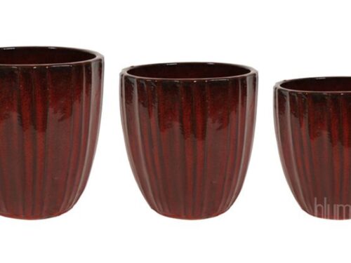 Topf Scott deep red D24 H25