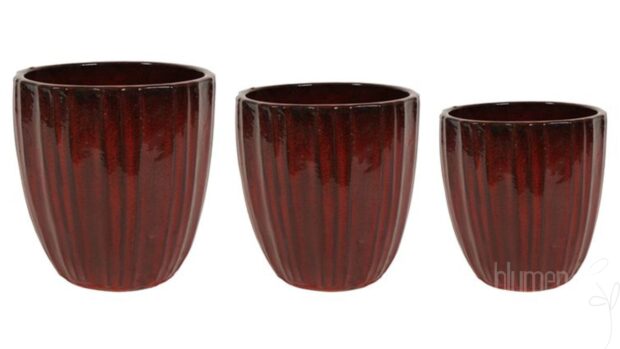 Topf Scott deep red D43 H44