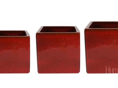 Topf Cube deep red D40 H40