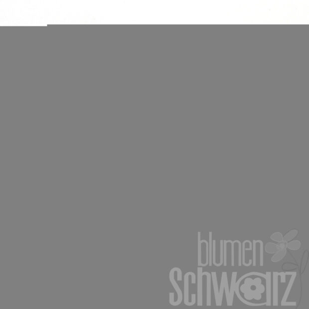 Streusterne Rinde 15er Netz