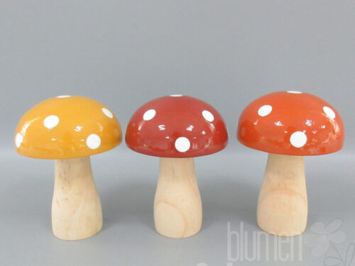 Pilz lackierte Kappe 3fach