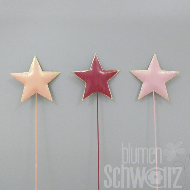 Stecker Stern 3fach